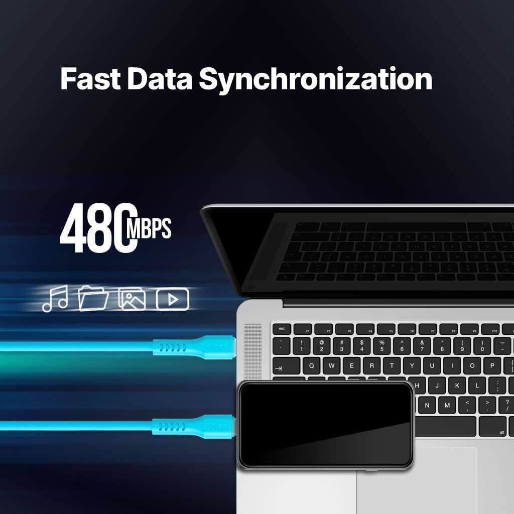 USB-C to Lightning cable