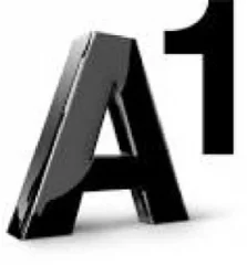 a1